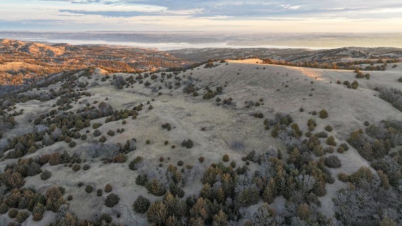DJI_20260325075128_0116_D