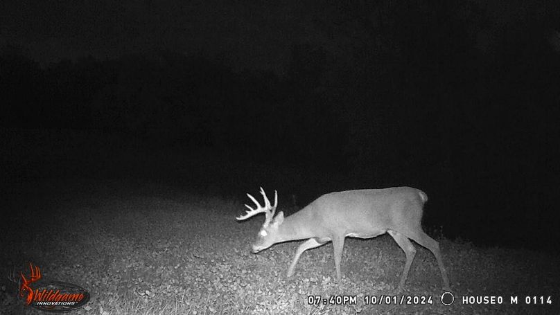 TRAIL CAM 2
