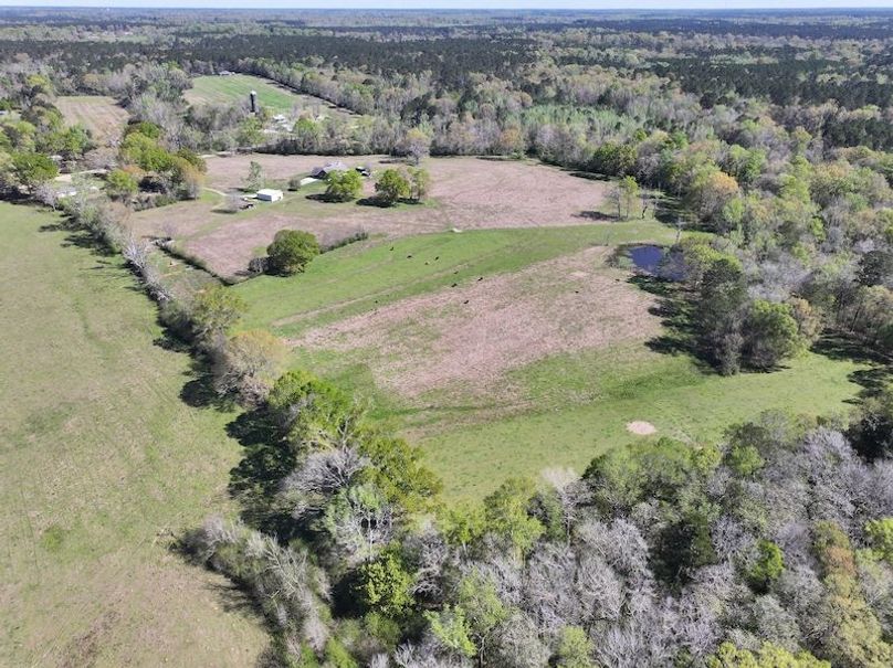 dji_fly_20260317_092158_0401_1773768877346_photo