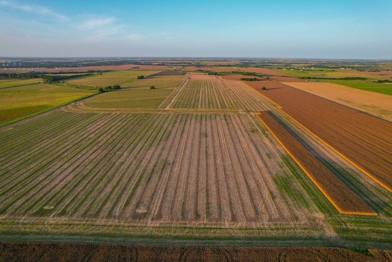 Bell 46.44 Pictures-17