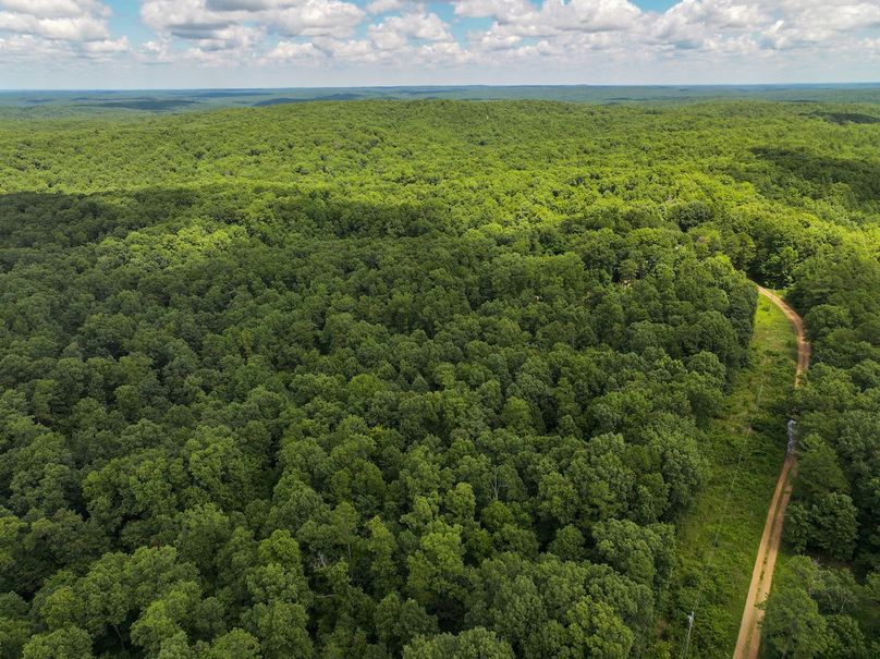 DJI_20250709130224_0427_D