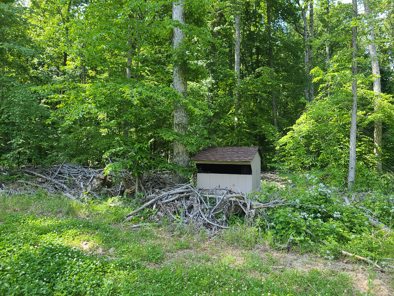 26.48ac_McKenneyLn_QAnnes_41