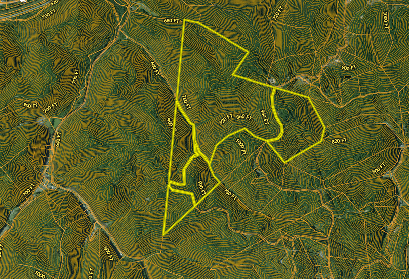 Screenshot 2023-07-28 at 10.37.41 AM