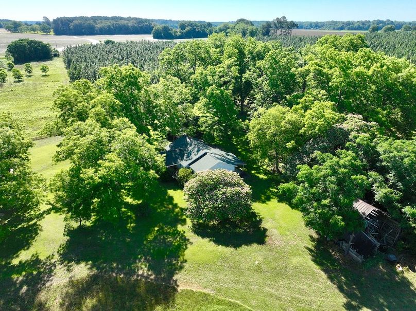 dji_fly_20240521_094326_364_1716299362654_photo