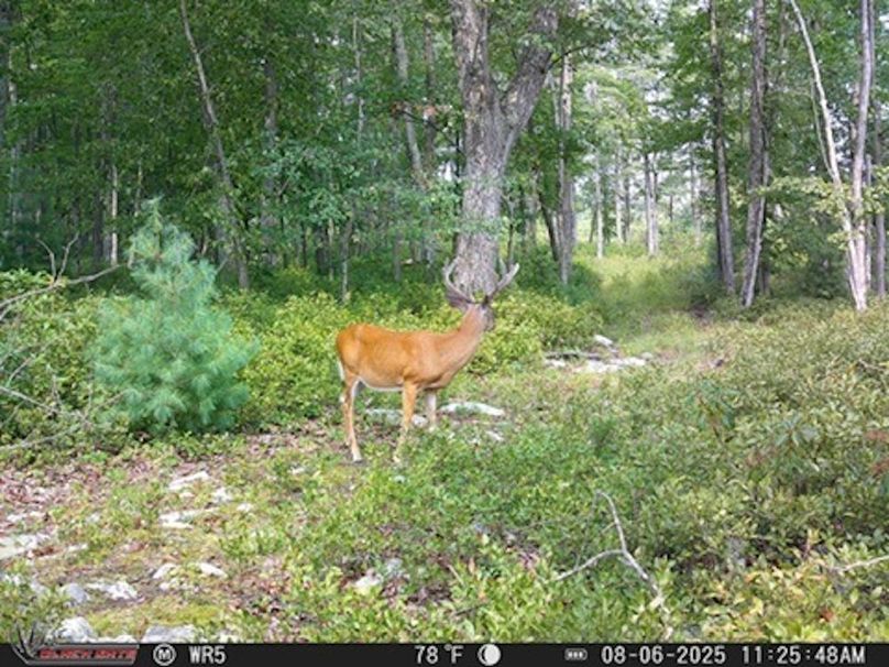 B7AD9C0C-E3E4-4AC8-A9FC-31F51B26AB1F_4_5005_c