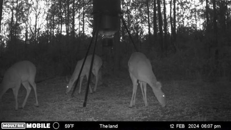 image638476365352871172