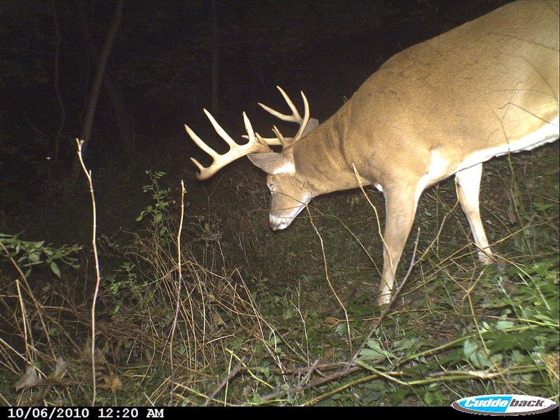 Deer Cam Tracker Pic. 092