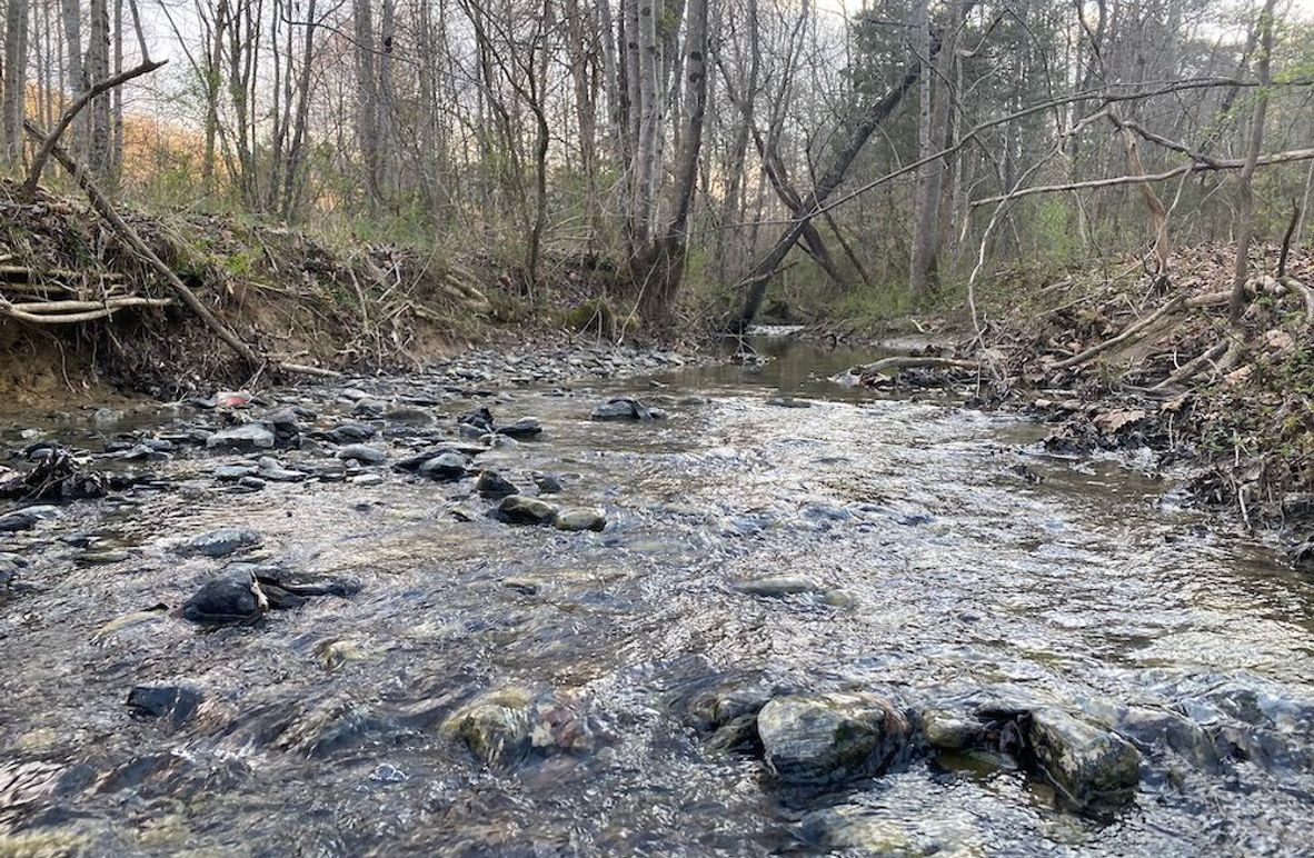 003 the stream flowing near the northern most boundary near KY 92