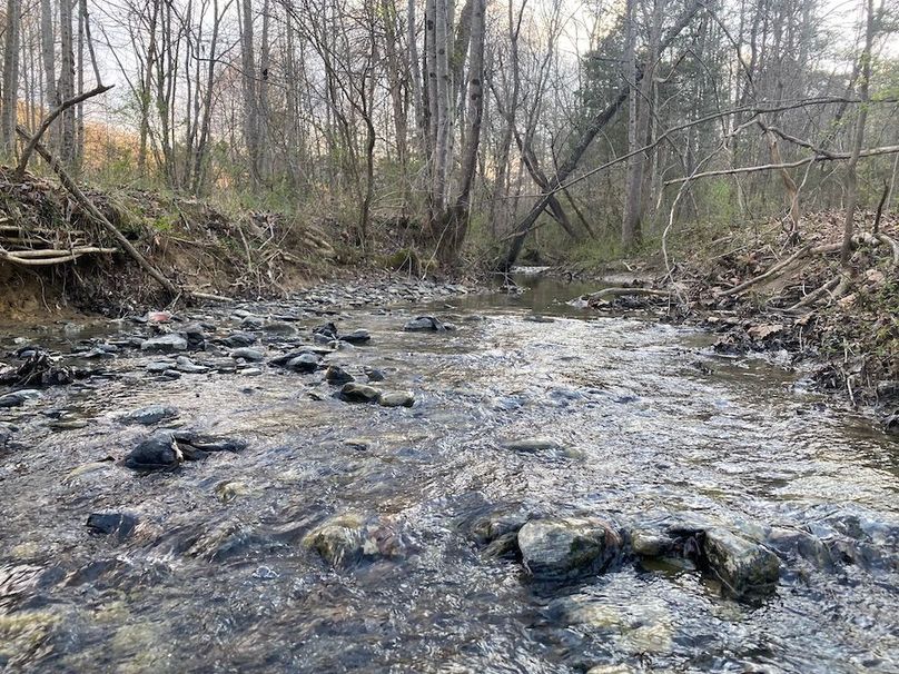 003 the stream flowing near the northern most boundary near KY 92