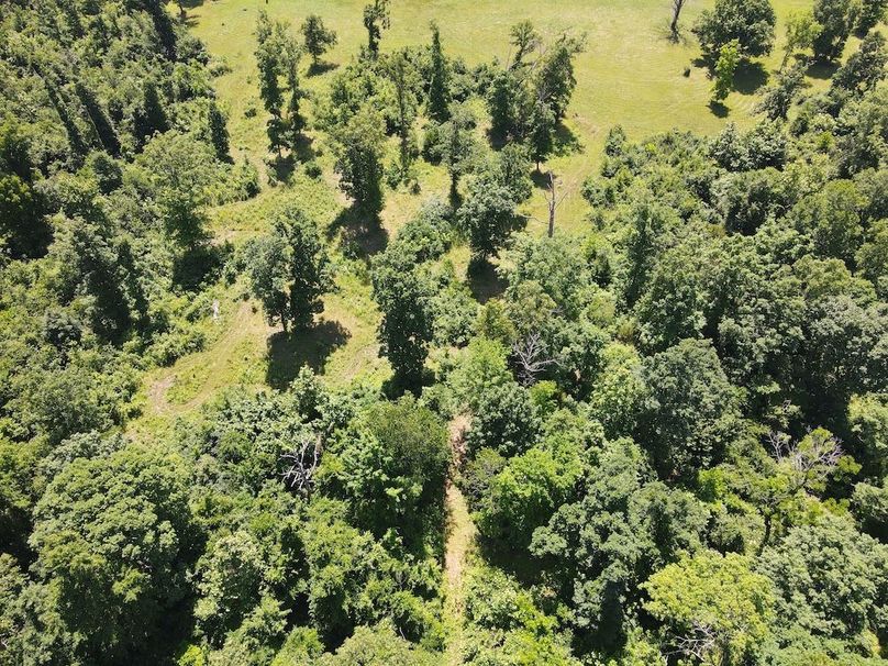 DJI_0839