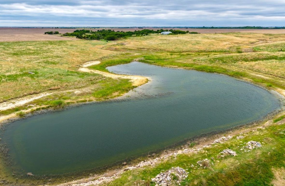 004