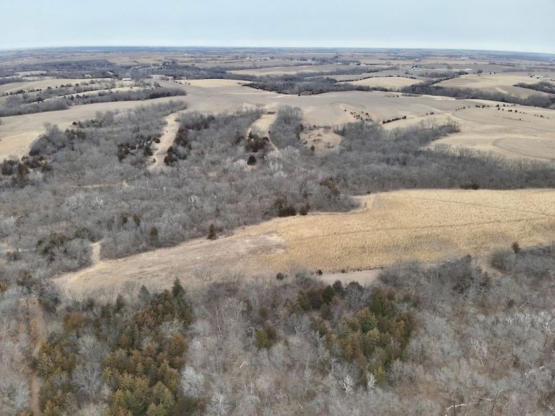 A0E90B2B-7F66-4D2C-B68D-72207F86AABD_1_201_a