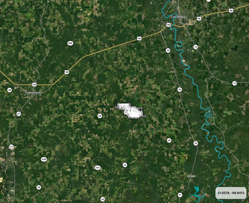 Screen Shot 2023-08-04 at 10.19.59 PM copy 4