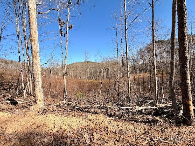 Roane Co TN 396 20251127_42