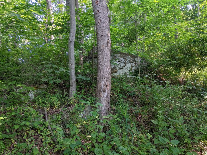 PXL_20230602_132627654