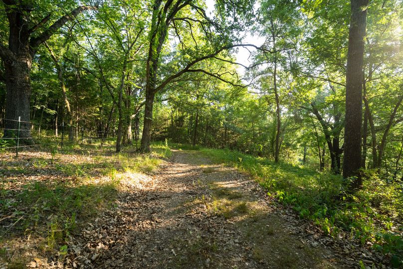 Webster MO 106 Featured_Pro Photo-65