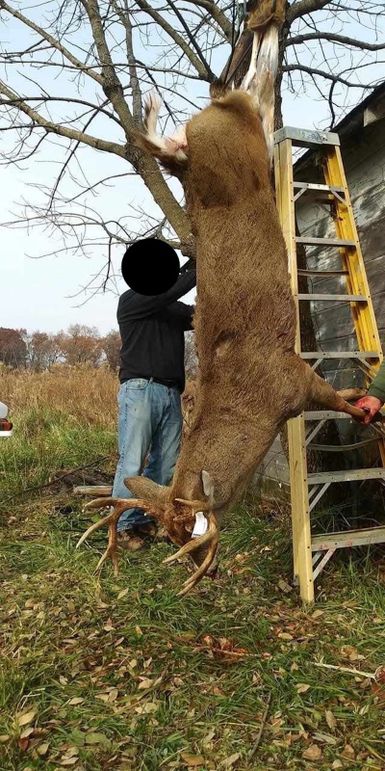 BC9CA9AE-2C73-4992-BC5C-835F3EDE079C_1_201_a