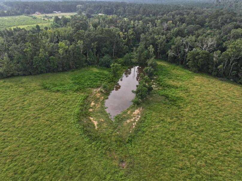 dji_fly_20250730_083130_0311_1753888800989_photo