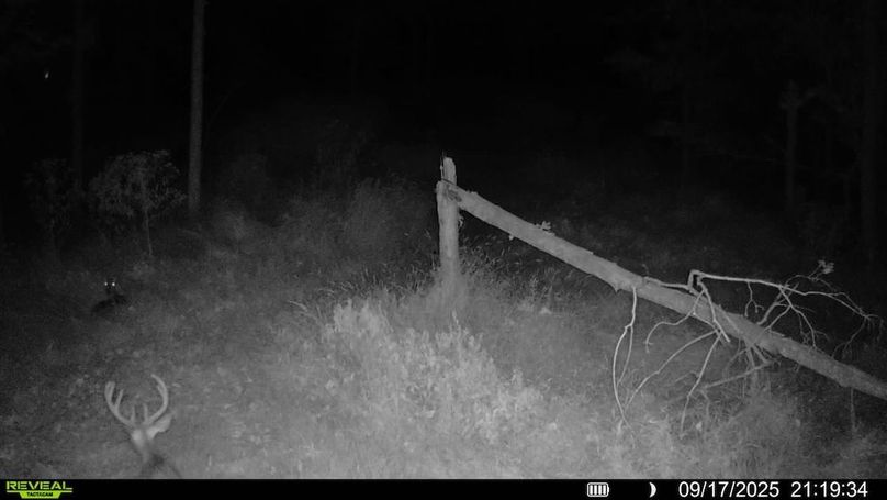 016578004709009-69-4-09172025211934-SYFW01153