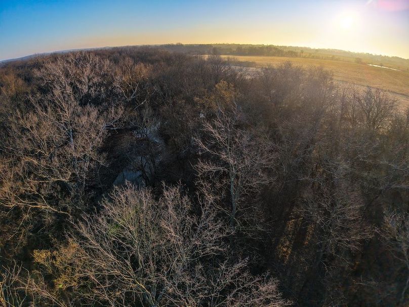 DJI_20260308081415_0098_D