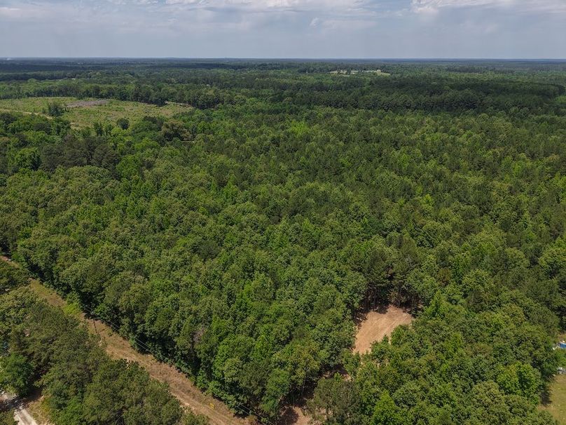 DJI_20260509035635_0065_D