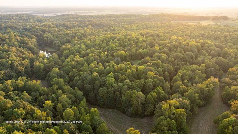 Tallahatchie 847 Messina-07