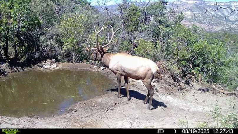 016578004083249-40-3-08192025122743-V-SYFW00045