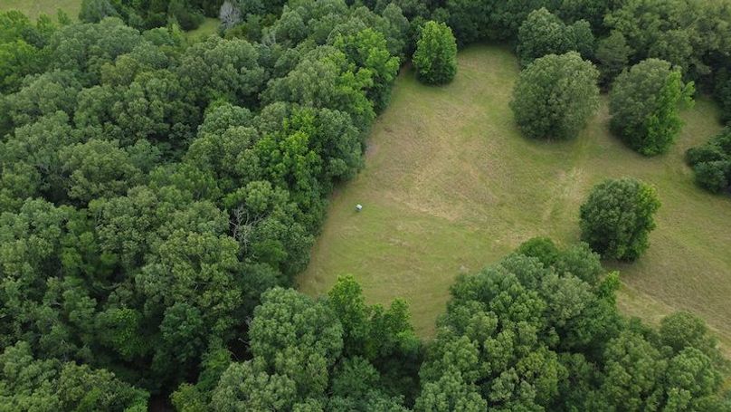 DJI_0253