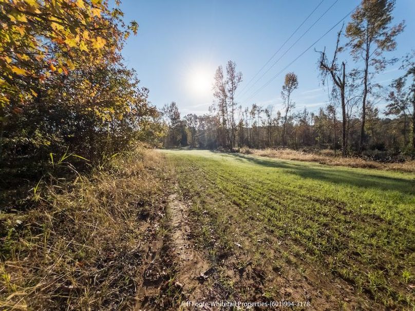 Claiborne Co-151-Geronimo-49