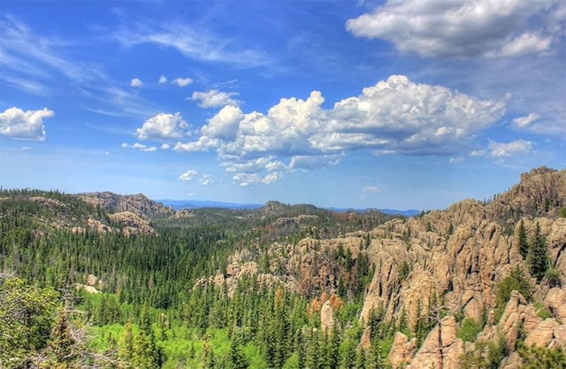 Custer State Park1