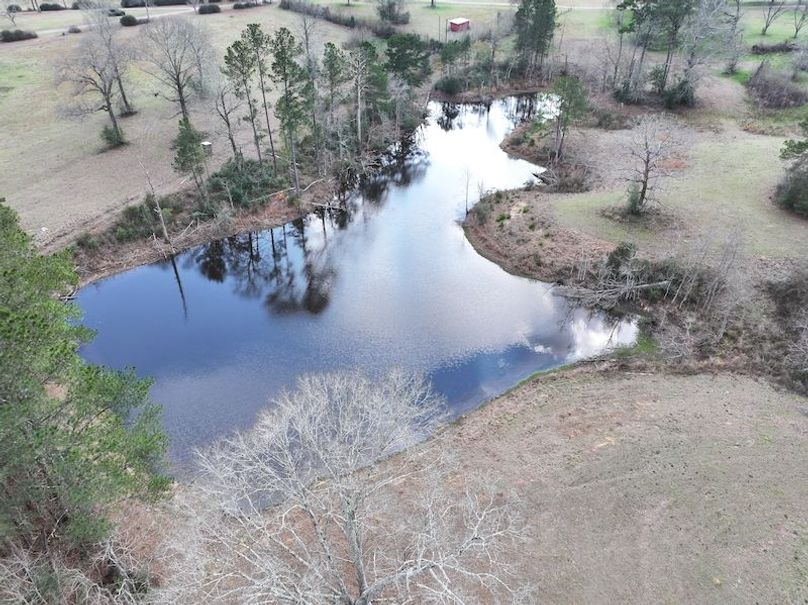 dji_fly_20260220_141016_0266_1771638830465_photo