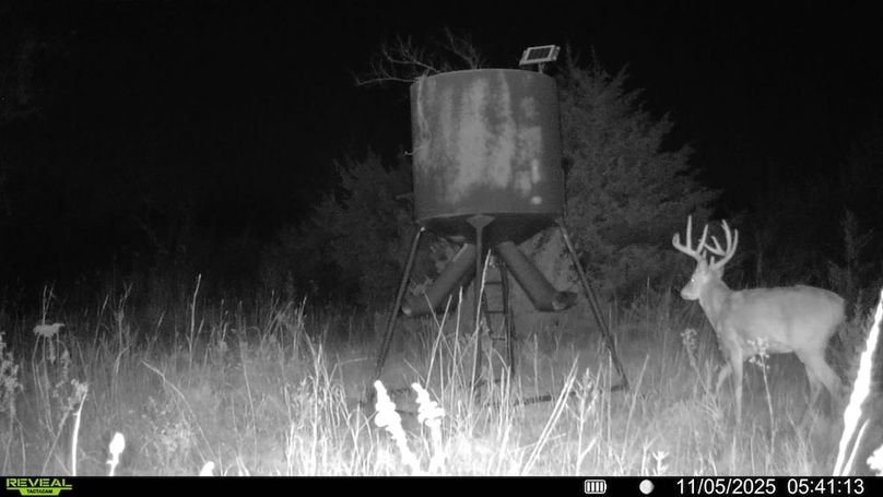 016578004503154-100-2-11052025054113-SYFW17919