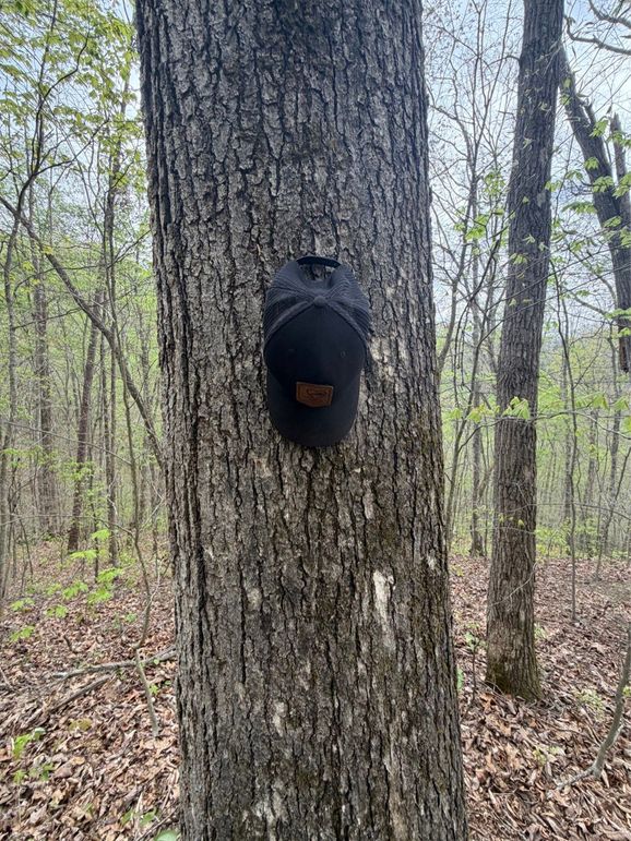 012 I believe we have a mature white oak here