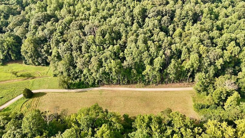 dji_fly_20250819_093818_0593_1755617535409_photo