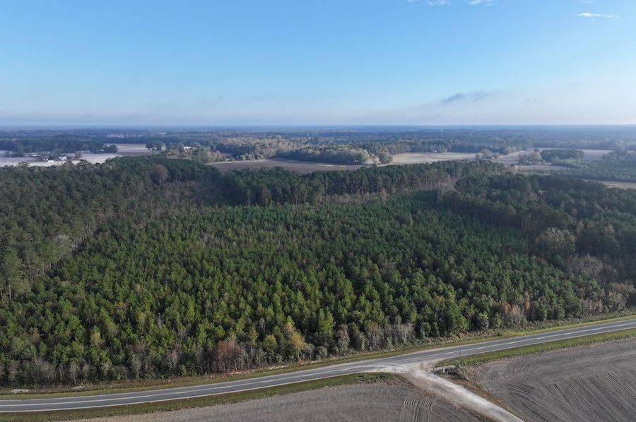 DJI_20241109085532_0121_D