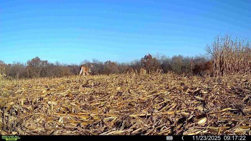 016578004299738-100-4-11232025113517-HD-SYFW02390