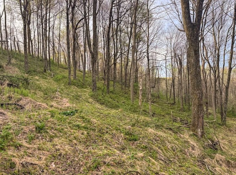 Screenshot 2026-04-21 at 11.35.59 AM