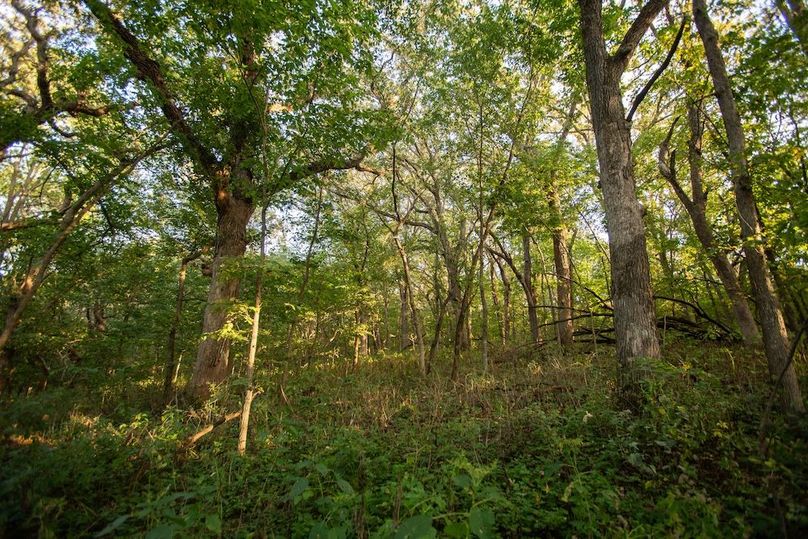 Copy of POTTAWATTAMIE CO IA 311 TRACT 3_25