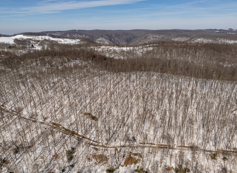 Screenshot 2026-02-11 at 10.33.18 AM