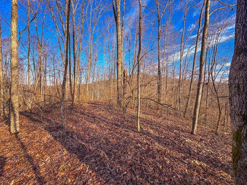 Lewis, WV 82.87 AC Barger-22