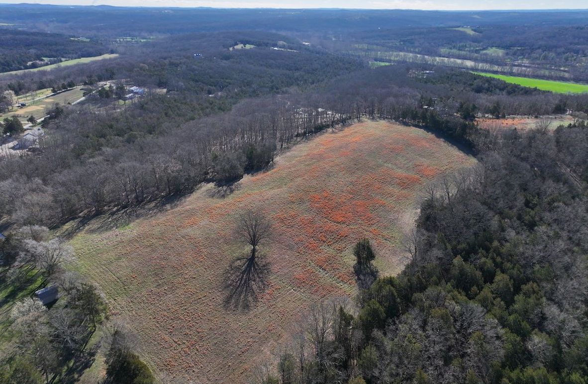 DJI_20260317093337_0973_D