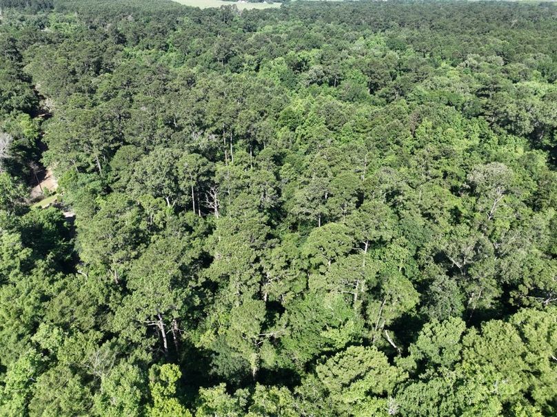 dji_fly_20260513_102840_465_1778687618156_photo