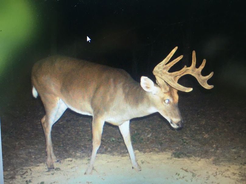 3F633406-C547-4BFC-B958-154AD2E04F37