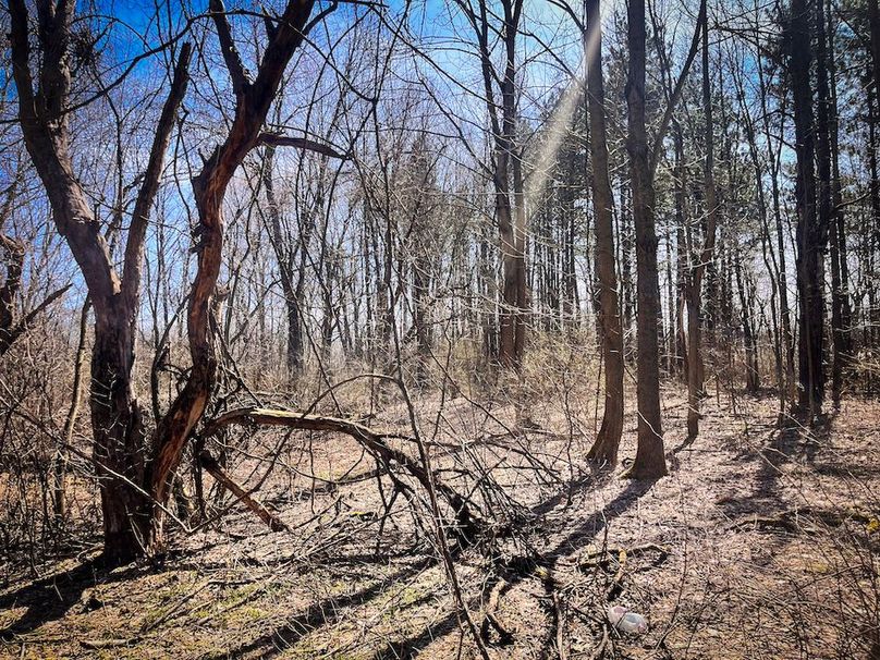 Oswego_13.95_Moore_Bush_Photos_13