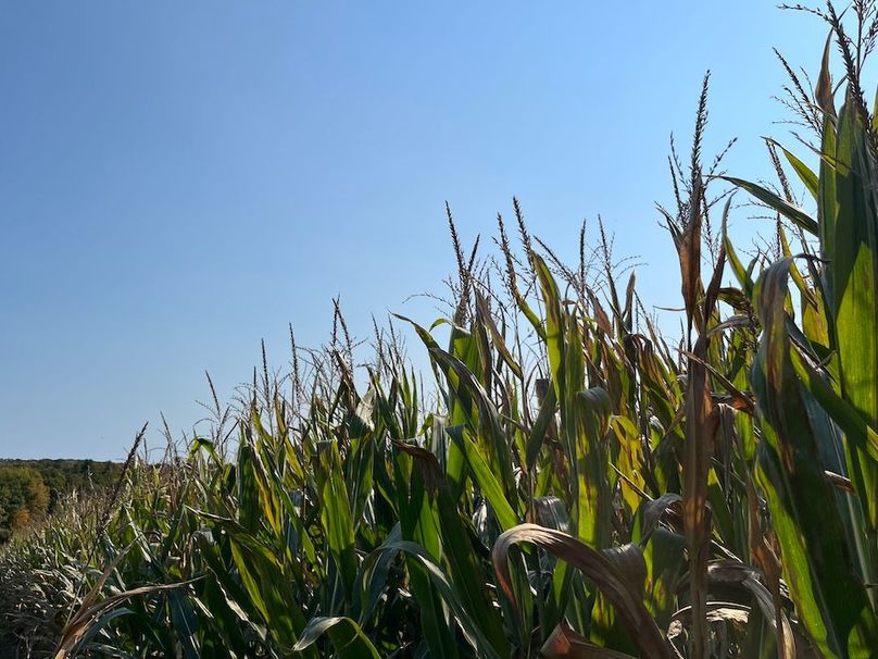 Yates_29_Stape Photo 26