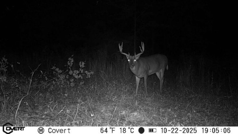 10_22_2025_19_05_06_3218303766