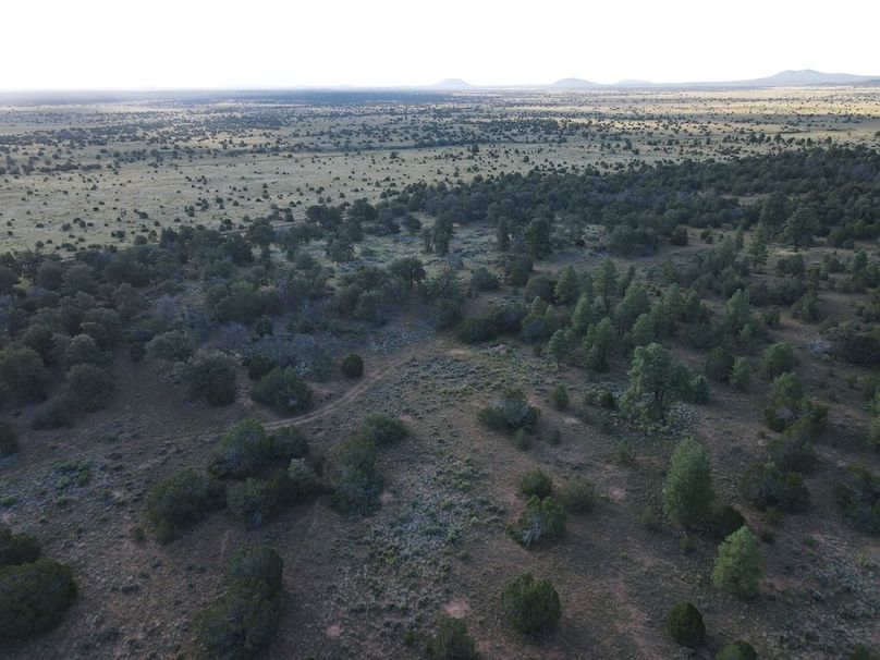 dji_fly_20240816_074332_500_1723815875113_photo