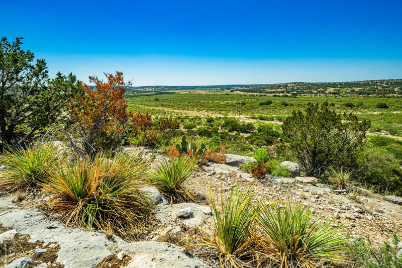 61-web-or-mls-DSC08694