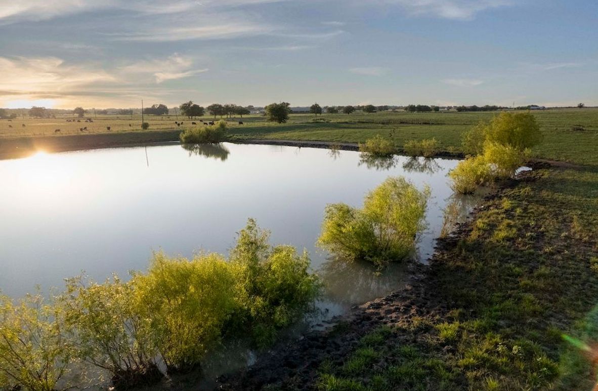 Grayson County- Petska 62 Acres (1 of 15)(1)