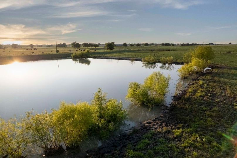 Grayson County- Petska 62 Acres (1 of 15)(1)